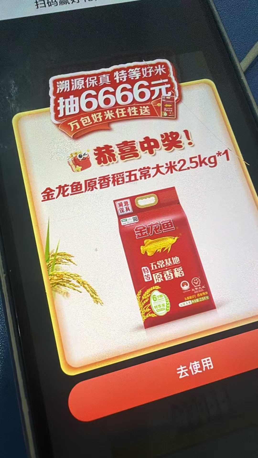 ?url=https%3A%2F%2Fpic.xiaodigu.cn%2Fpic%2F20260902%2F1788328284779718 405